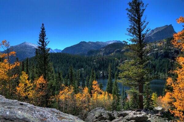 Autumn is gradually coming to the forest