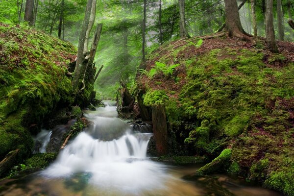 Rio rápido com corredeiras íngremes