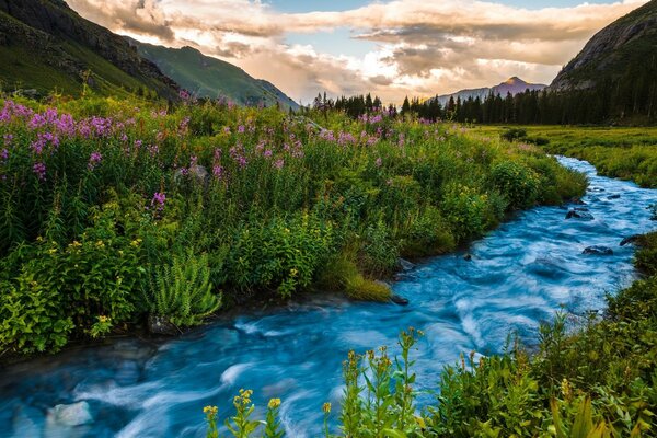 Arroyo azul entre las montañas