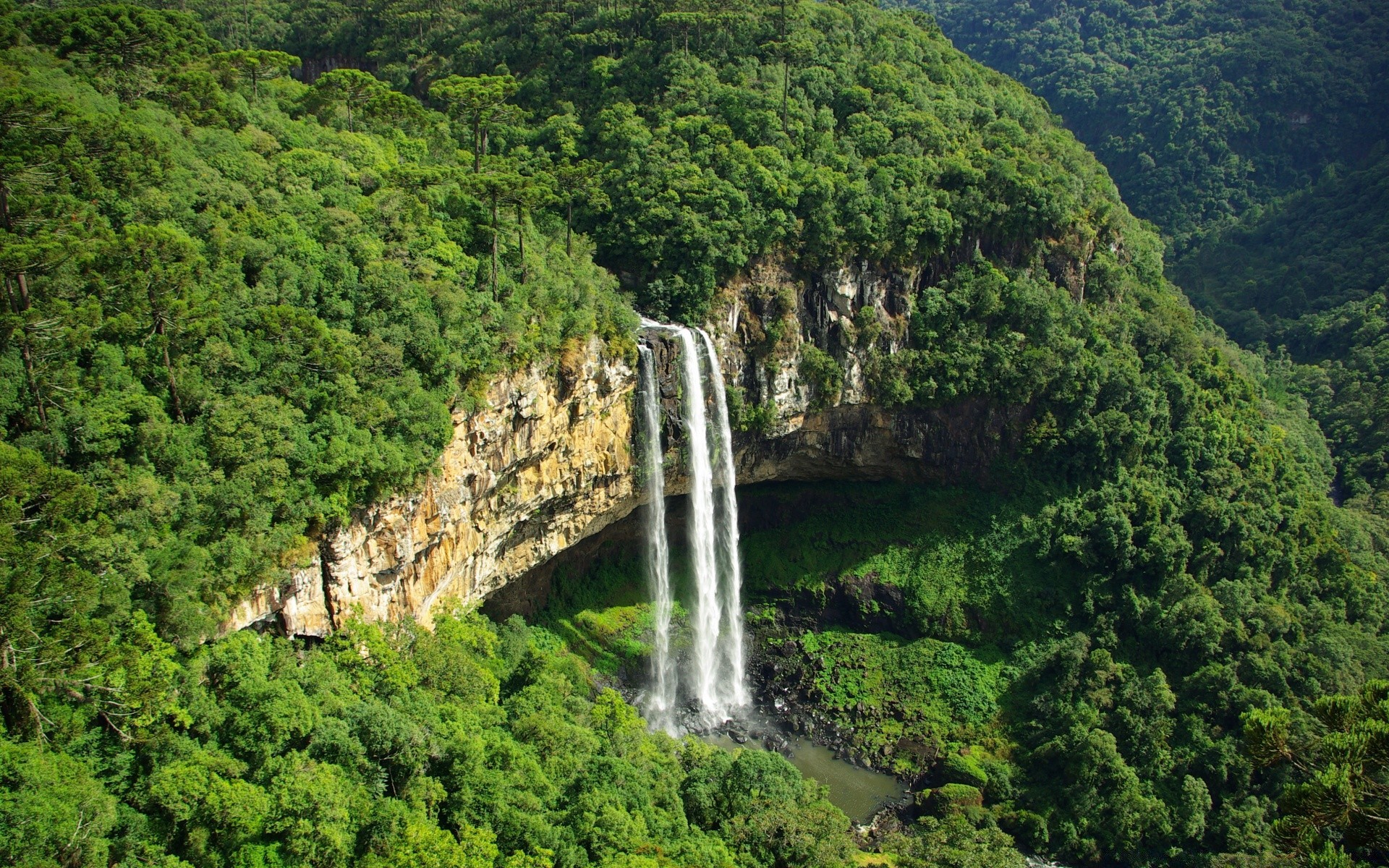 美国 水 山 河 景观 旅游 自然 木材 树 风景 岩石 瀑布 山 谷 旅游 雨林 户外