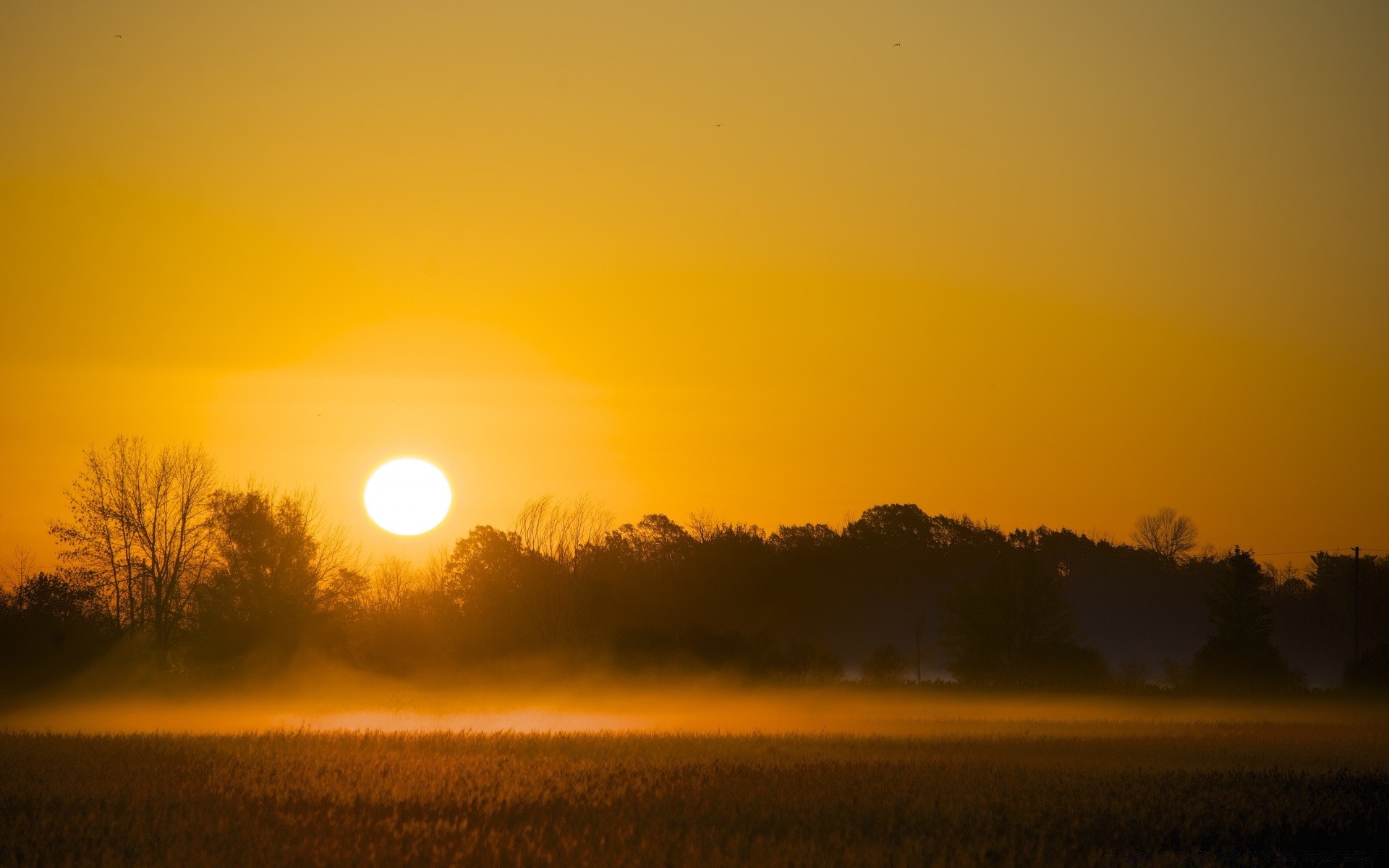 america sunset dawn sun evening landscape backlit fog dusk silhouette sky light tree nature fair weather mist fall outdoors