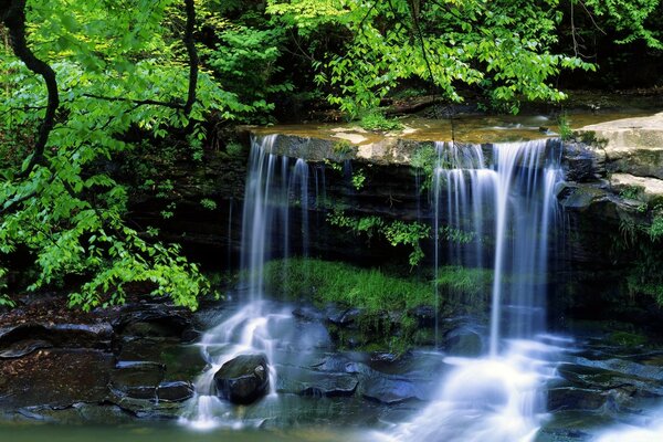 Ein kleiner Wasserfall unter den Bäumen