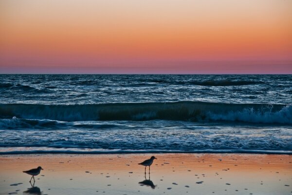 Das blaue Meer. Roter Himmel