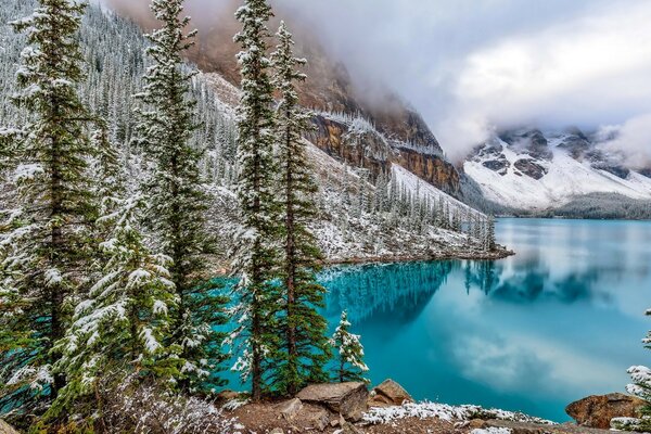 Beau paysage de montagne enneigé