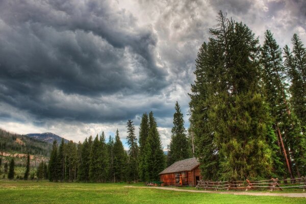 Piccola casa di legno in una grande radura