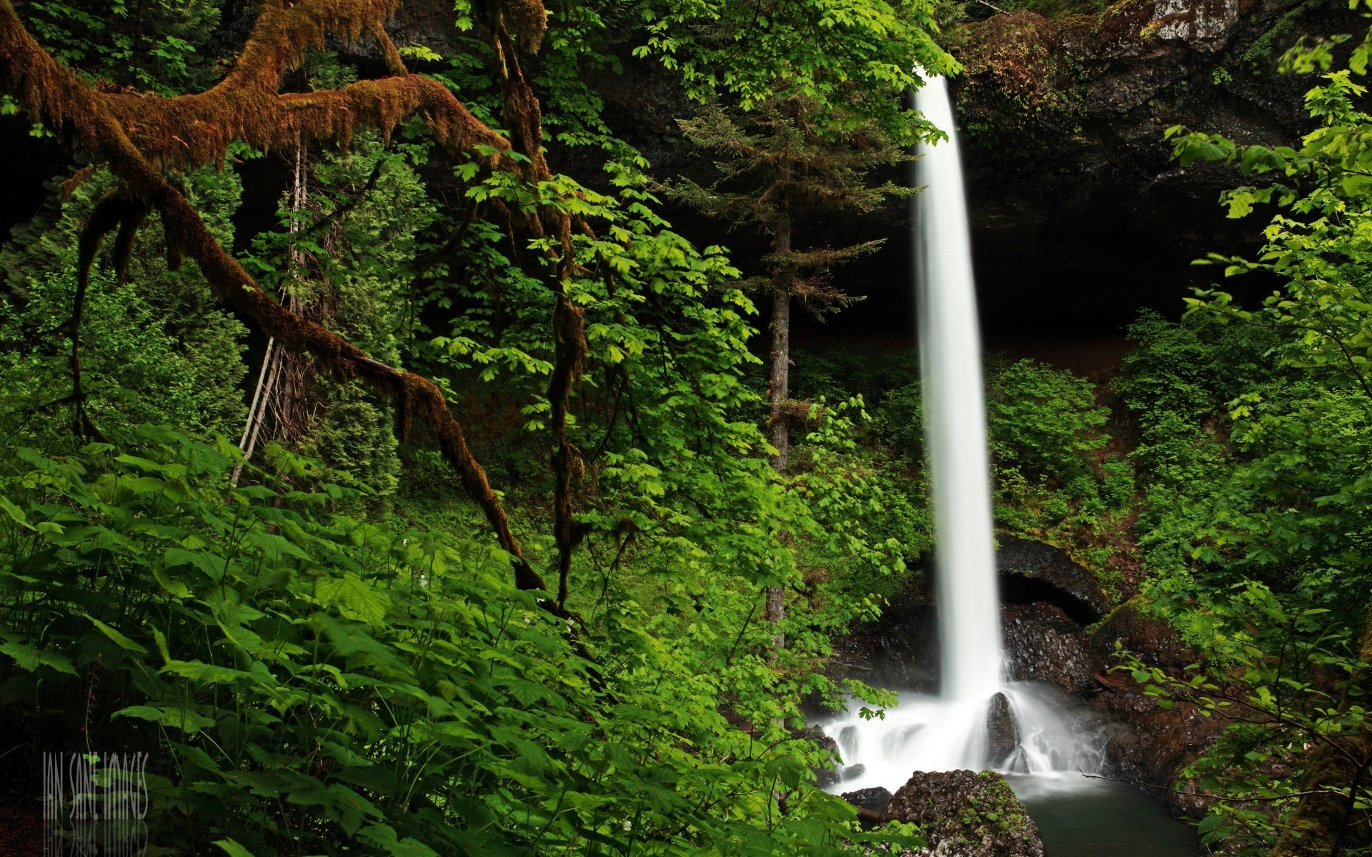 amerika wasser holz wasserfall im freien natur reisen blatt fluss baum üppig fluss landschaft