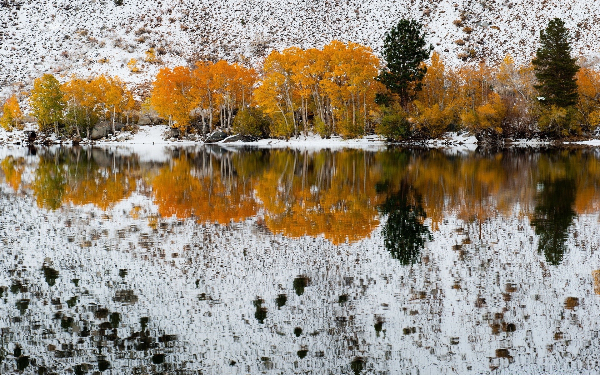 america fall nature season reflection leaf color water landscape desktop wood tree bright park