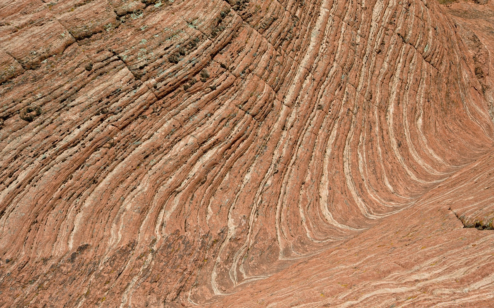 américa padrão textura área de trabalho rocha natureza abstrato chão pedra tecido áspero parede superfície seco duro geologia close-up log arenito árvore