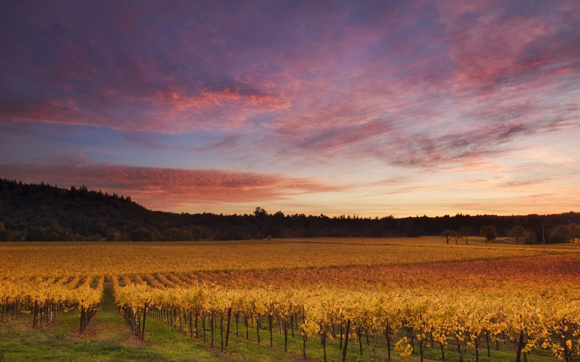 américa puesta del sol amanecer al aire libre paisaje tierra cultivada naturaleza tarde otoño campo cielo crepúsculo hierba árbol agricultura sol