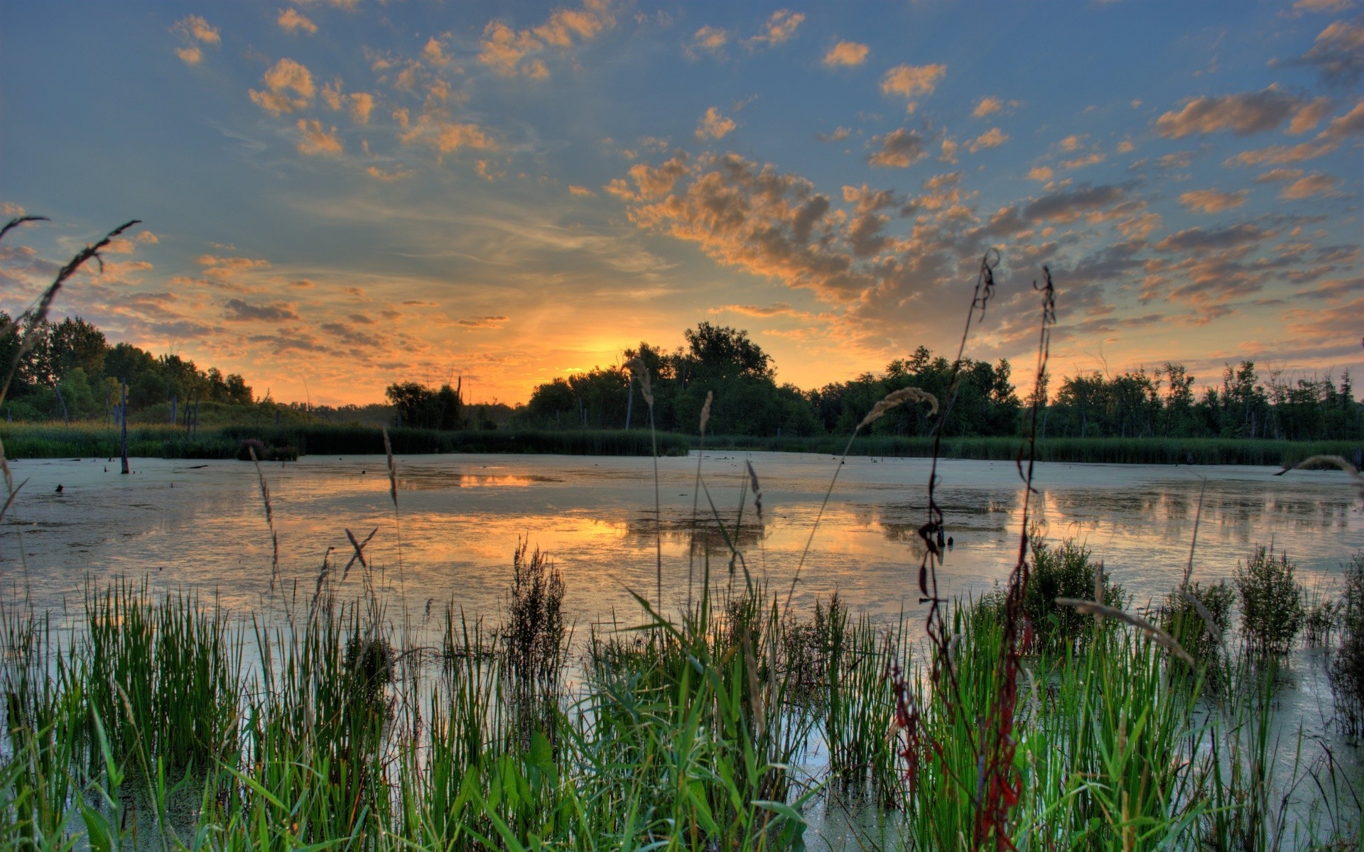 amérique réflexion eau lac paysage nature aube rivière coucher de soleil ciel arbre reed à l extérieur soir été mars soleil