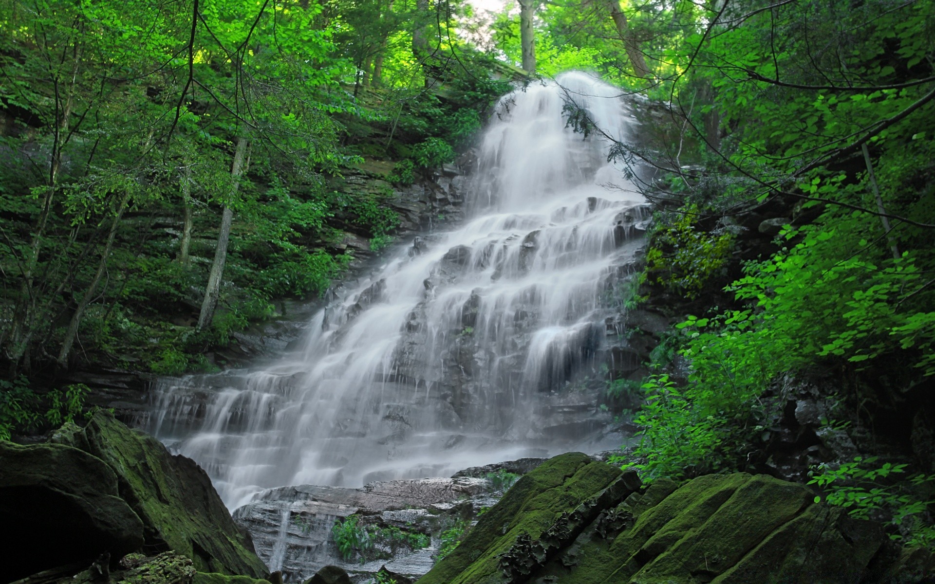 america cascata acqua legno fiume natura paesaggio roccia flusso montagna viaggio cascata movimento all aperto foglia albero selvaggio foresta pluviale autunno creek