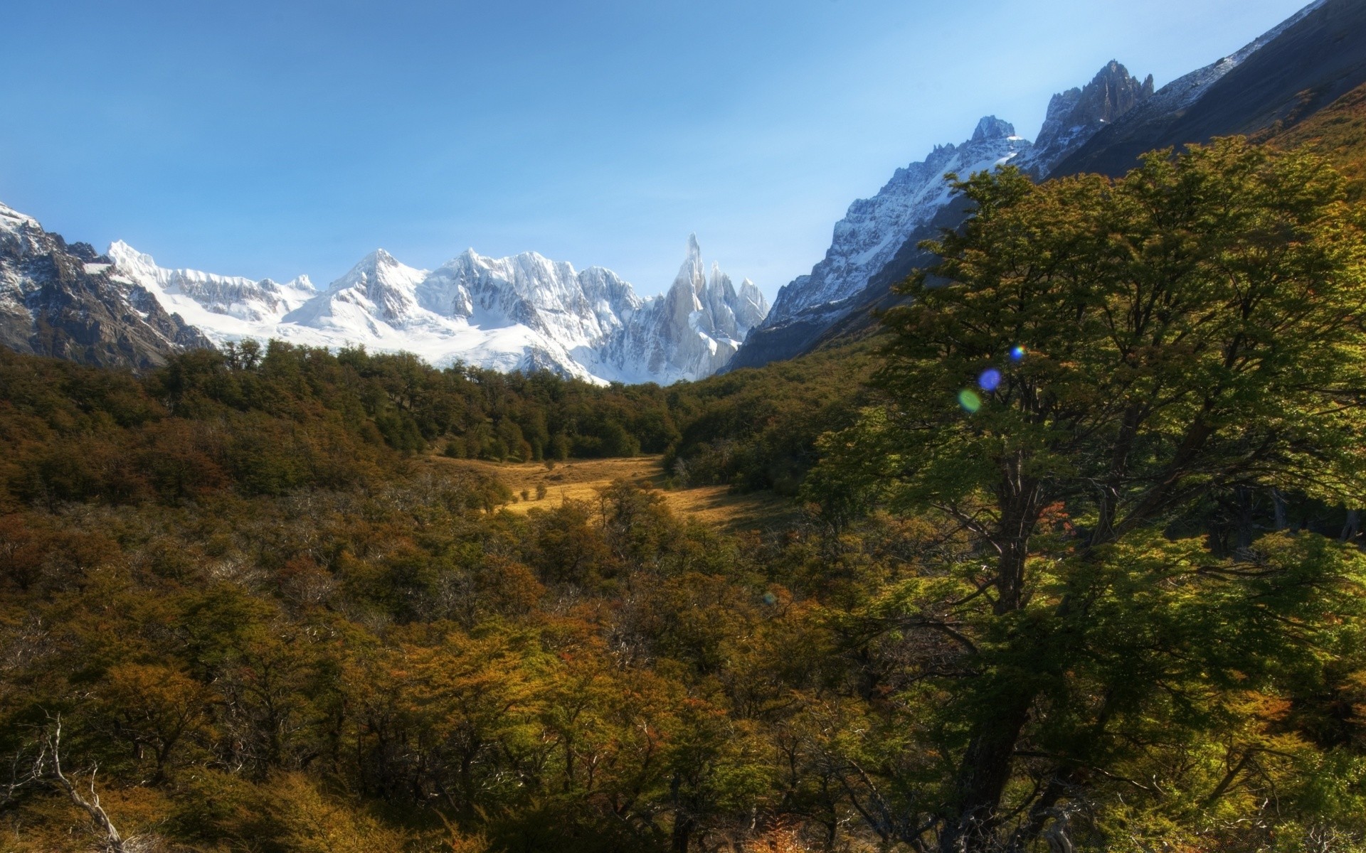 美国 山 旅游 景观 自然 户外 天空 木材 木材 日光 风景 雪 山 山谷