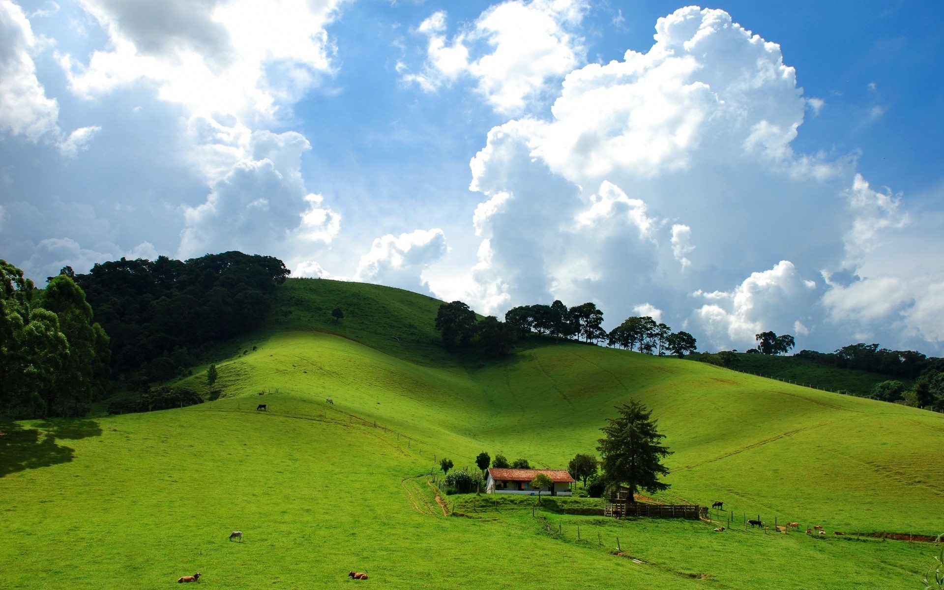 america natura paesaggio erba all aperto estate albero rurale cielo campagna pascolo viaggi agricoltura collina bel tempo