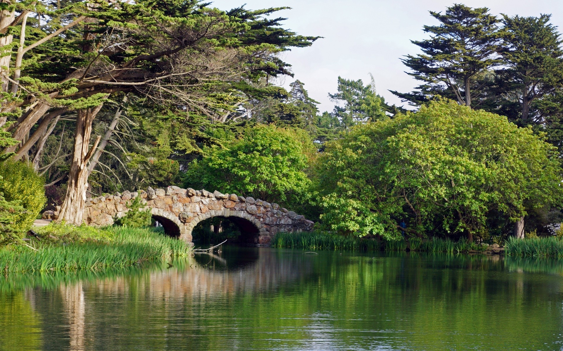 america water tree nature wood landscape travel river lake scenic park reflection outdoors sky scenery summer leaf grass pool tourism