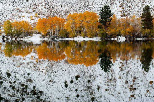 Reflection of the autumn forest in the water