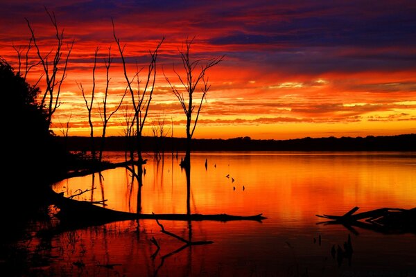 Sunset over a quiet river