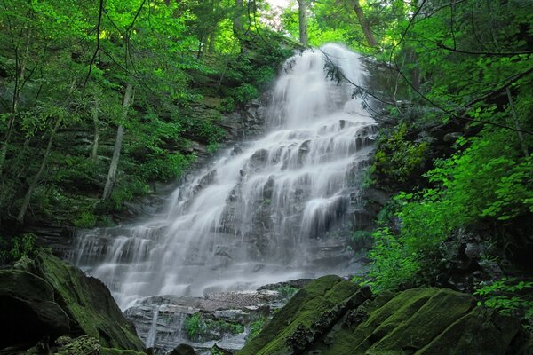 Nature de l Amérique: cascade de montagne