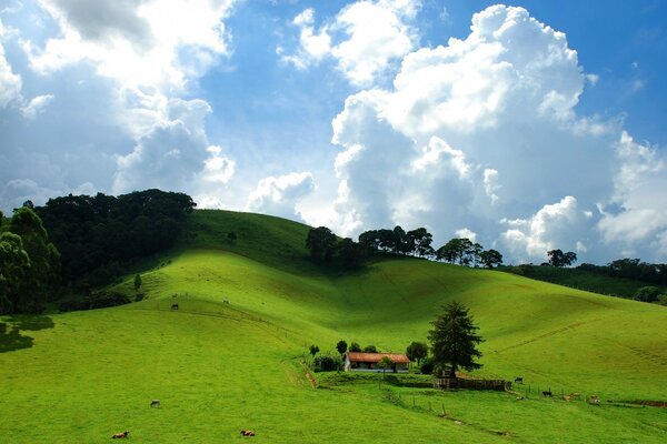 Green hills under blue sky