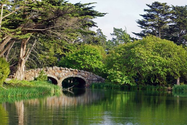 Beautiful nature with trees, river and bridge