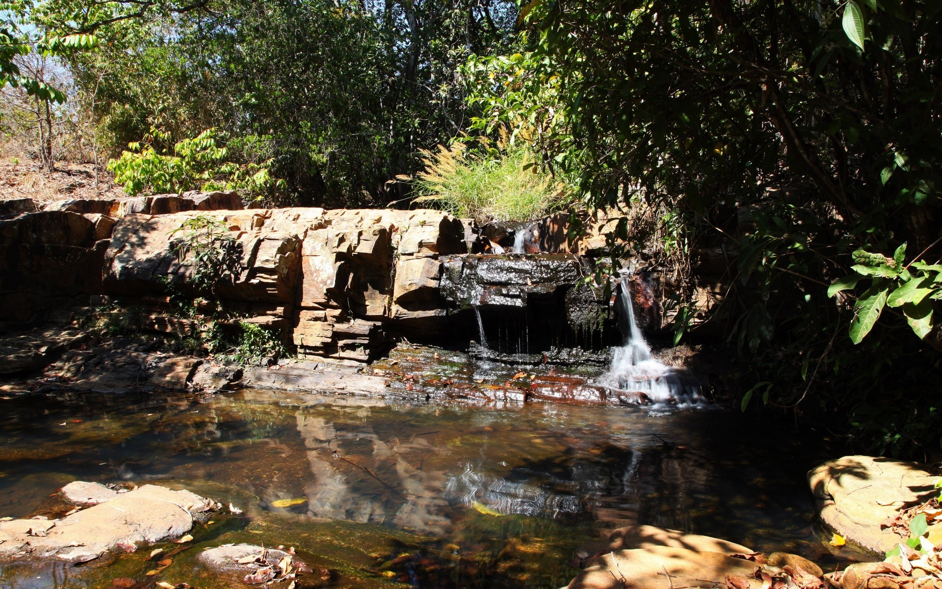 america water nature river stream travel stone wood outdoors leaf tree waterfall landscape rock summer environment flow tropical