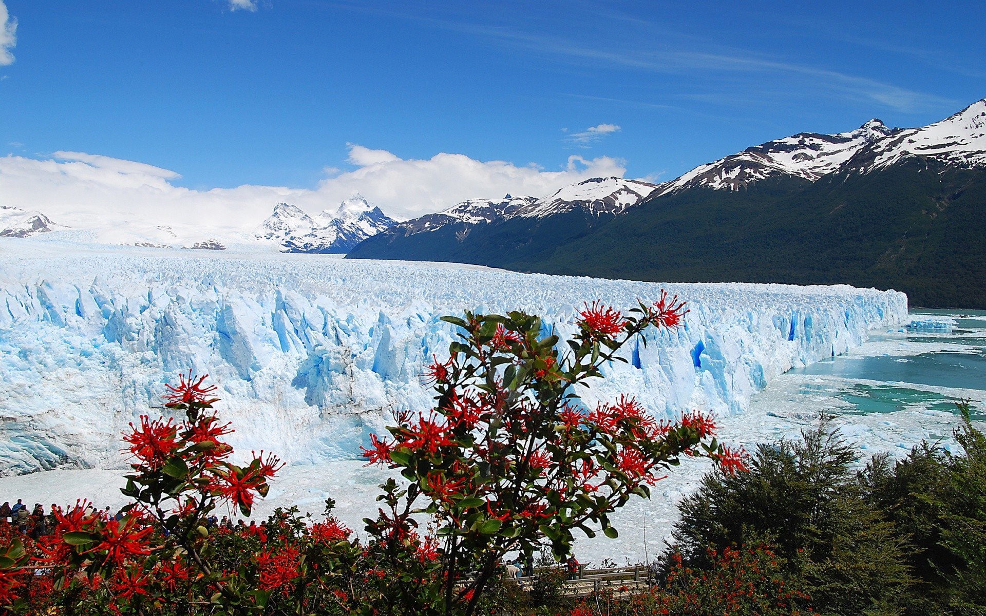 américa nieve montañas paisaje invierno escénico naturaleza árbol viajes agua cielo