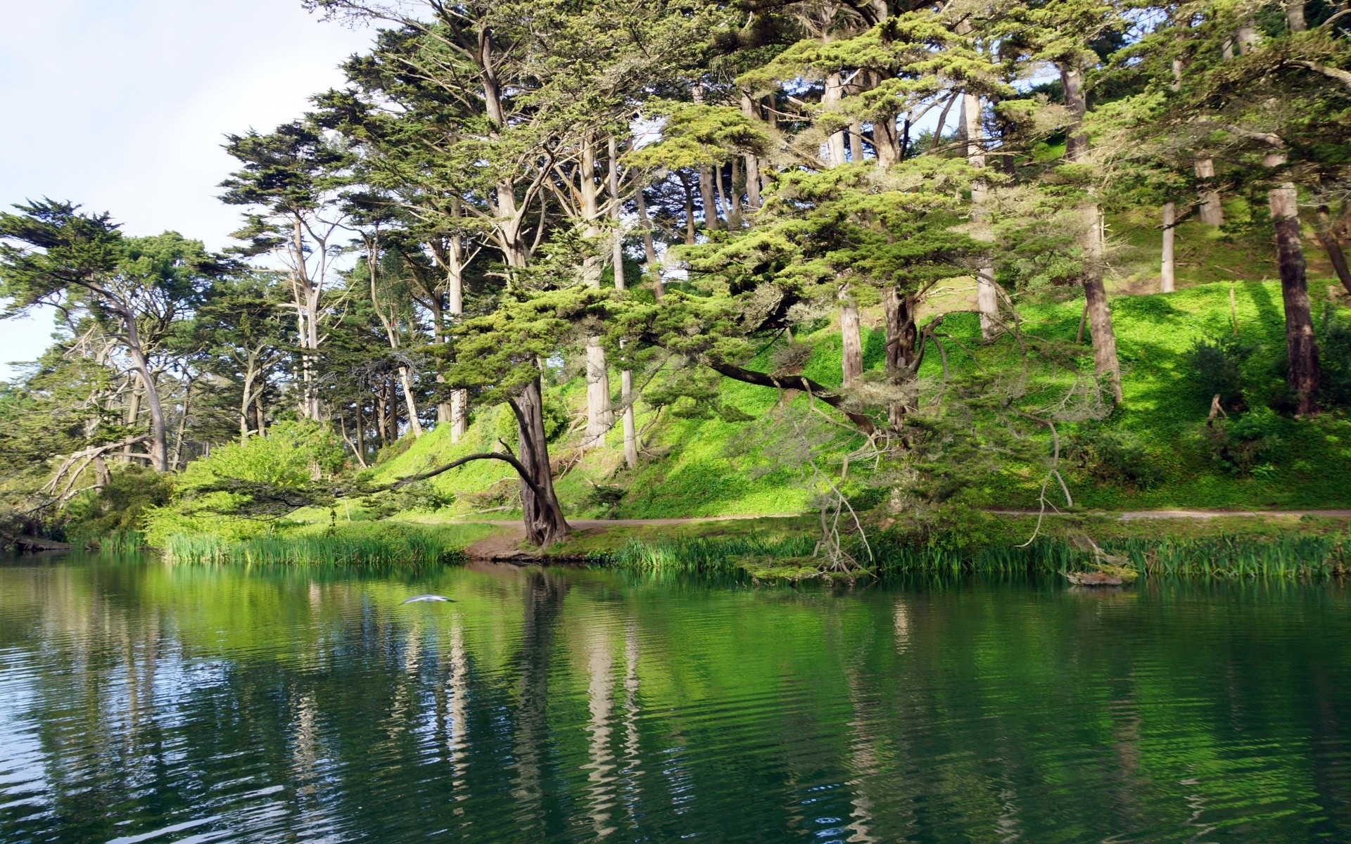 amérique eau nature arbre paysage lac voyage bois rivière herbe été ciel réflexion feuille à l extérieur tropical piscine flore parc belle