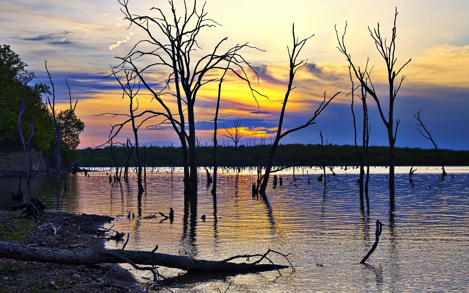 america acqua natura tramonto paesaggio alba lago riflessione sera cielo albero estate crepuscolo sole sagoma all aperto freddo