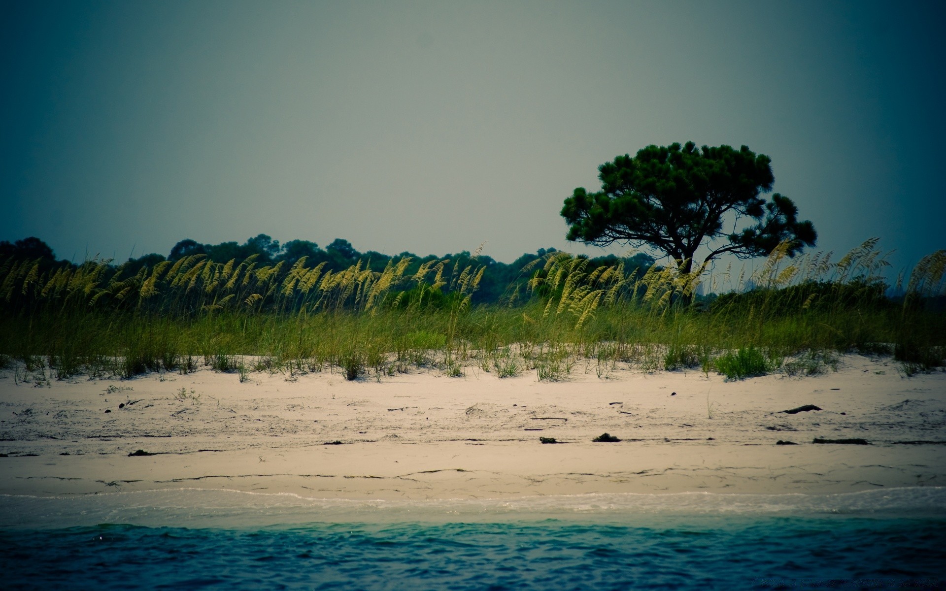 america acqua tramonto spiaggia natura alba albero paesaggio cielo sole oceano mare viaggi sera all aperto estate sabbia luce bel tempo