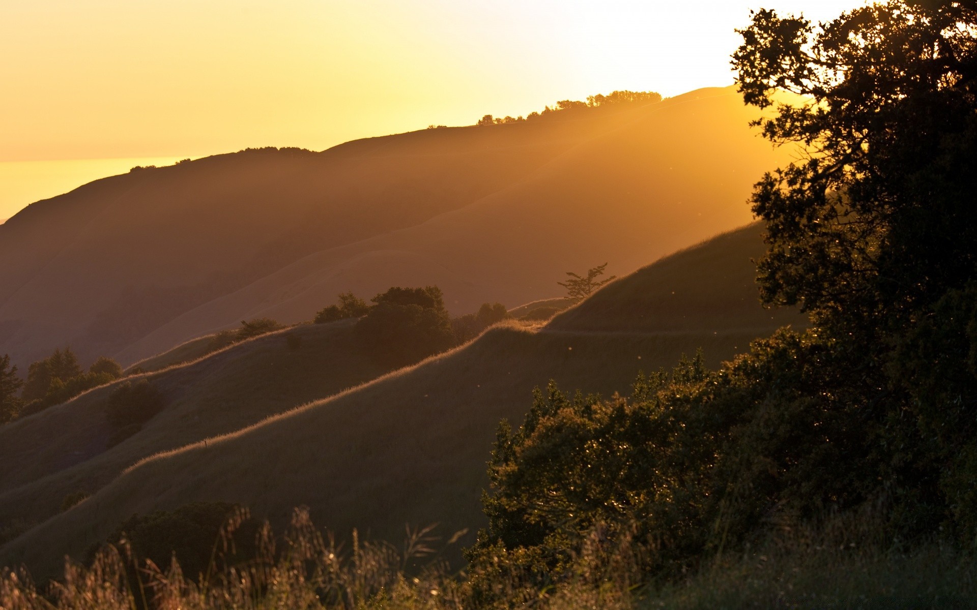 america paesaggio tramonto alba albero all aperto natura montagna nebbia cielo viaggi sera luce del giorno illuminato luce sole collina nebbia terra coltivata