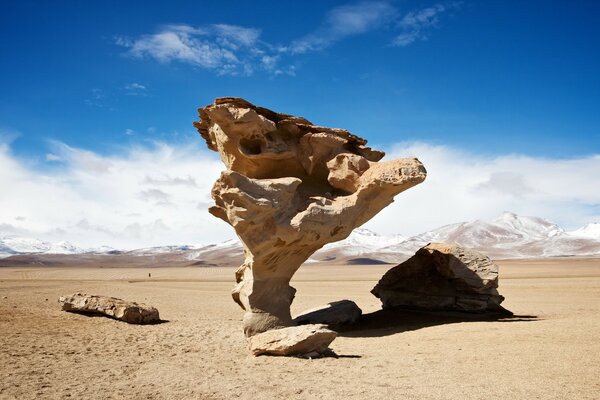 Stones in the middle of the desert