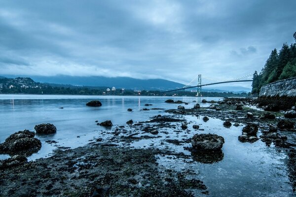 岩石海岸快淹死了