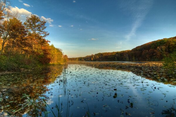 Natura All aperto Dell America