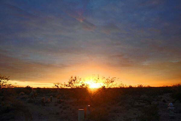 Alba sopra i cespugli nel deserto