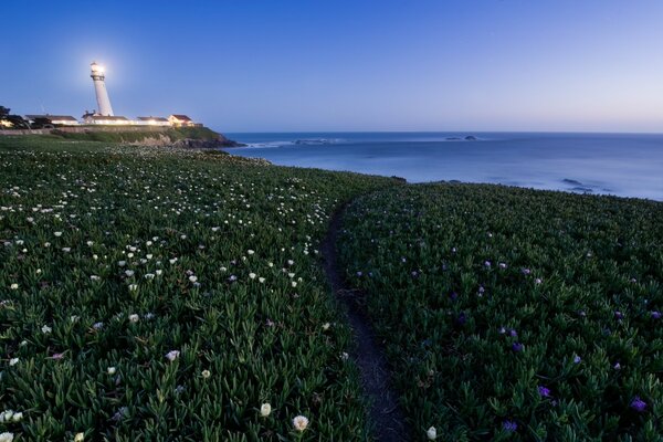 The glow of the lighthouse in the distance by the sea