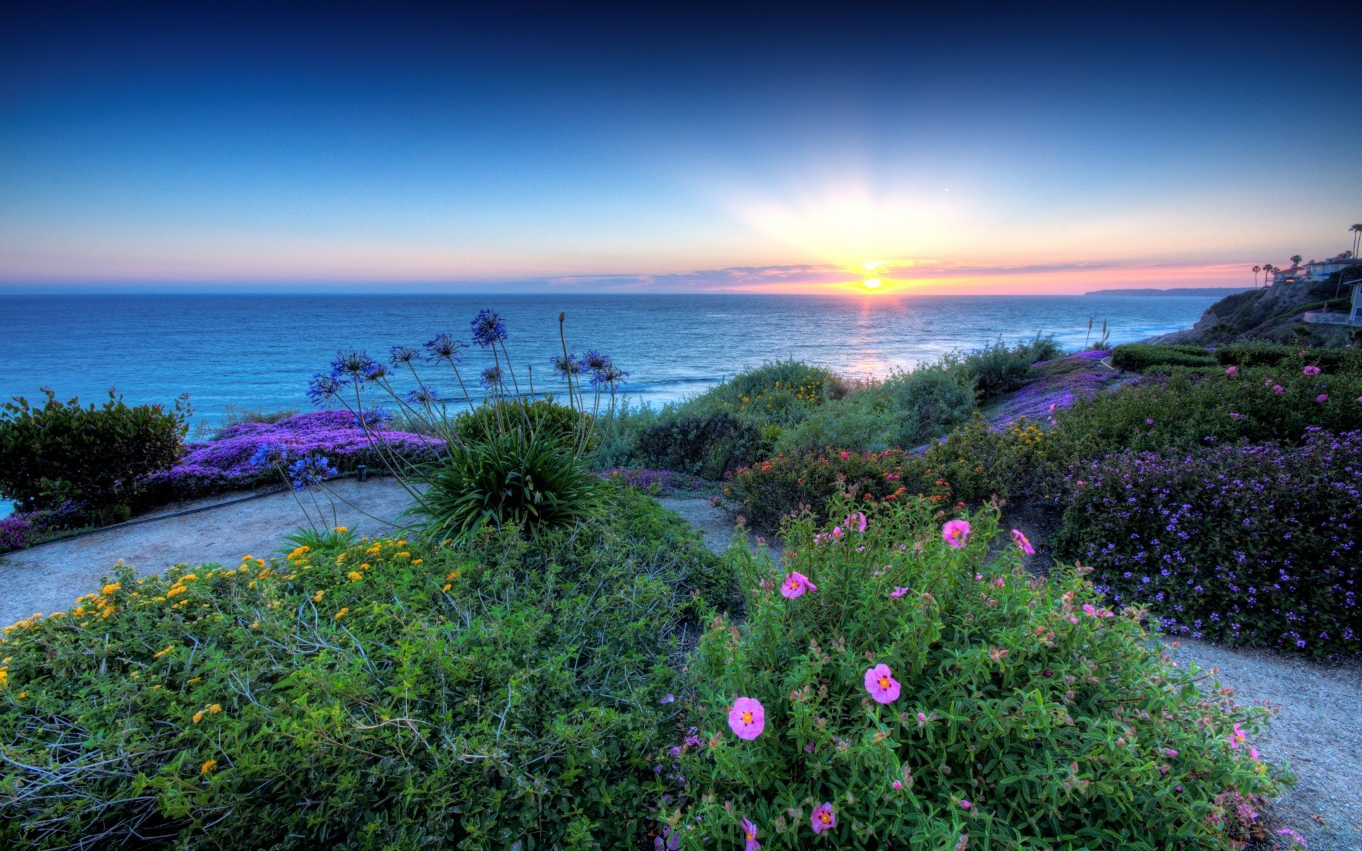 america natura paesaggio acqua estate cielo all aperto mare mare sole viaggi spiaggia tramonto oceano pittoresco bel tempo fiore spettacolo