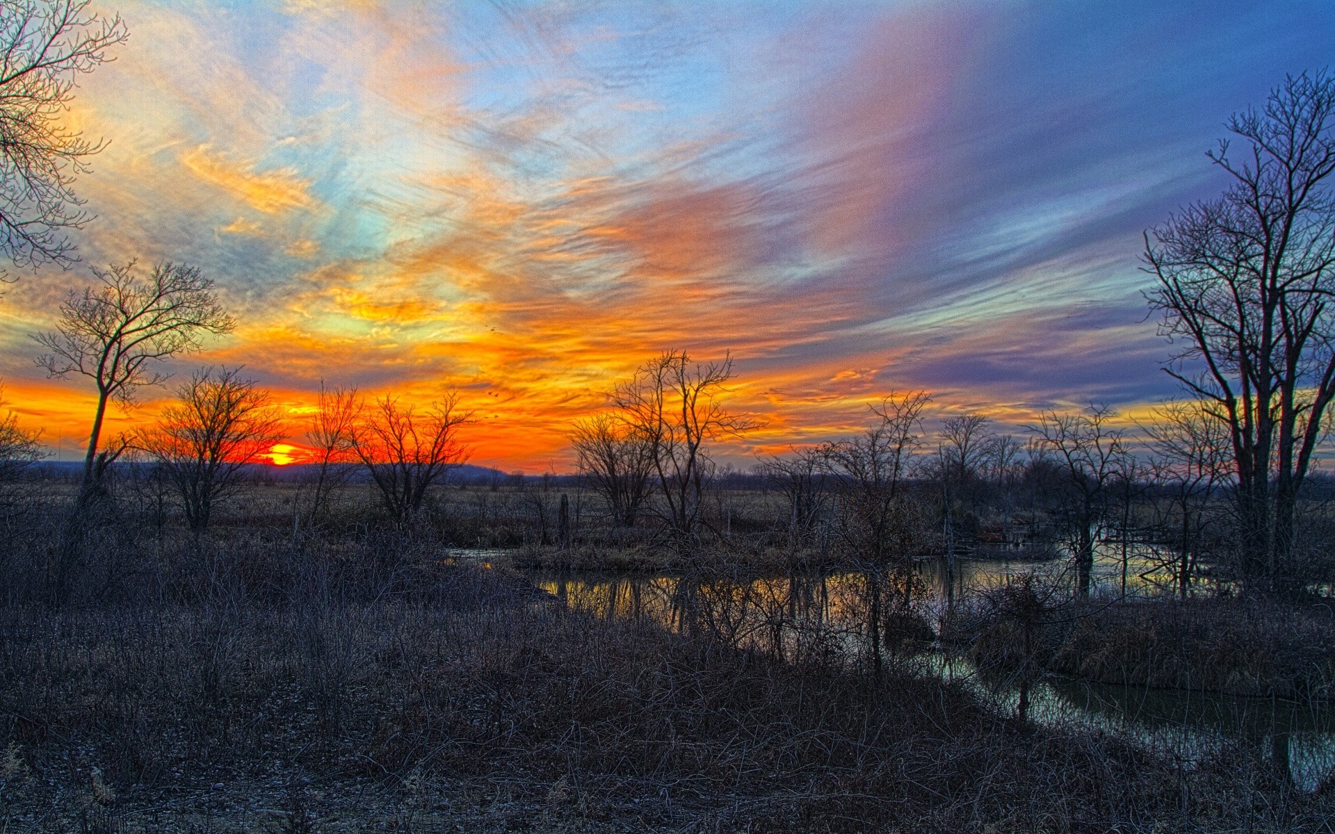 américa paisaje otoño puesta de sol árbol amanecer naturaleza noche sol cielo luz al aire libre buen tiempo temporada madera campo crepúsculo