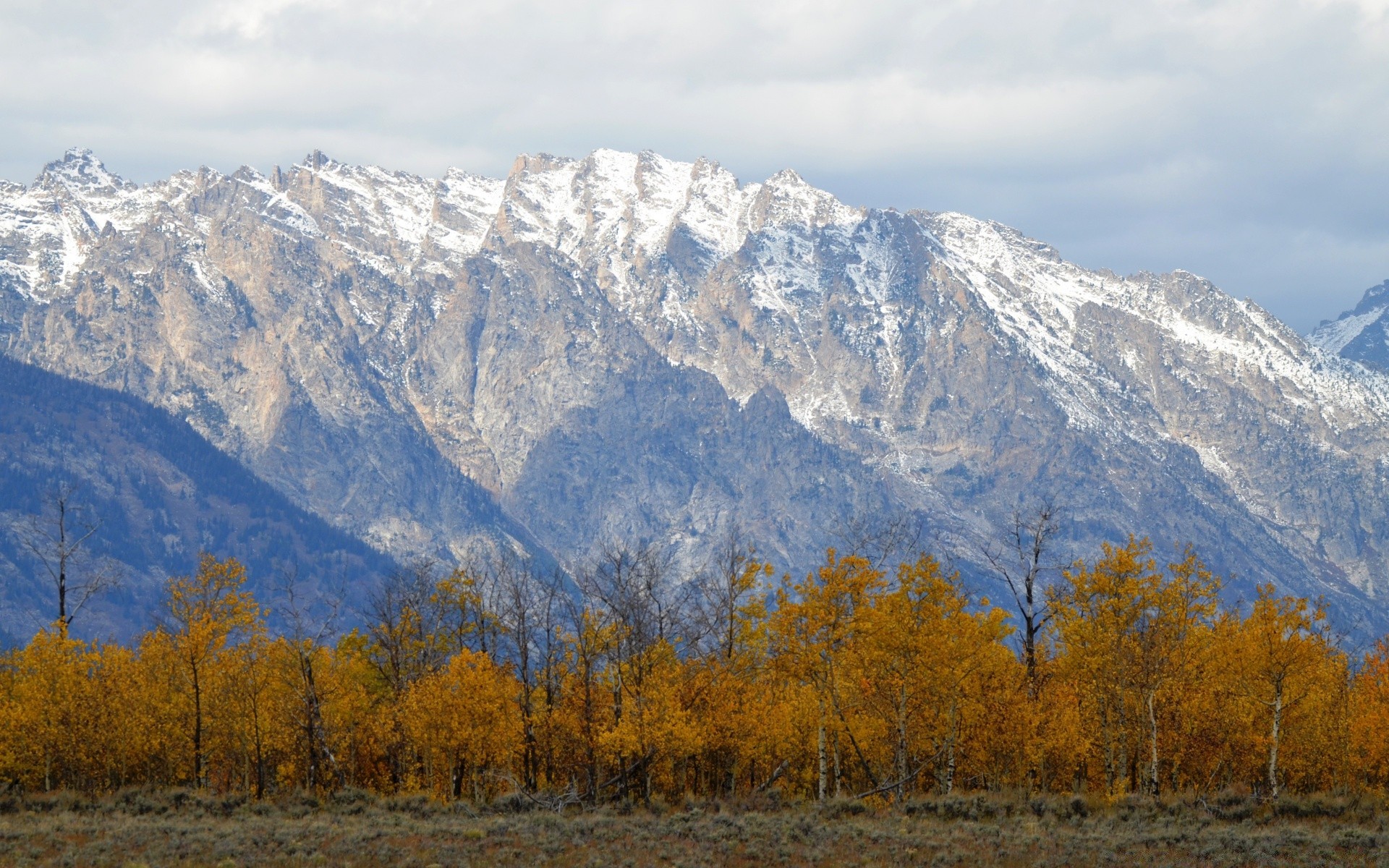 america snow mountain wood landscape fall scenic tree outdoors nature travel sky daylight winter