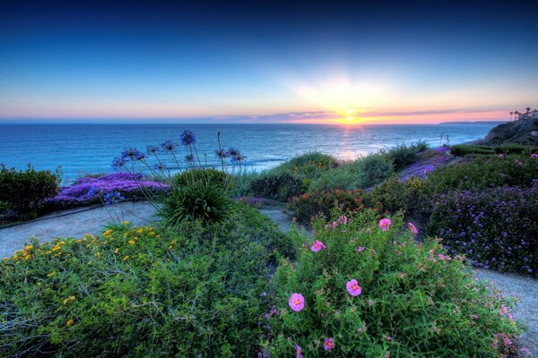 Summer evening by the sea