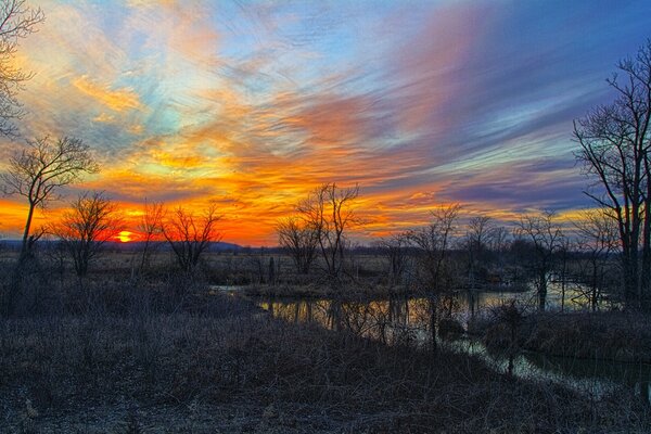 Baker wetlands