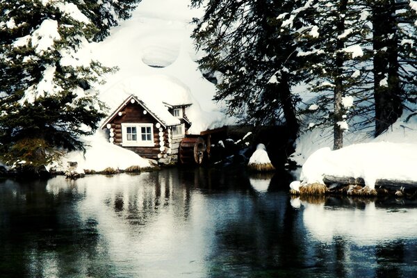 Casa de madeira na floresta de Inverno