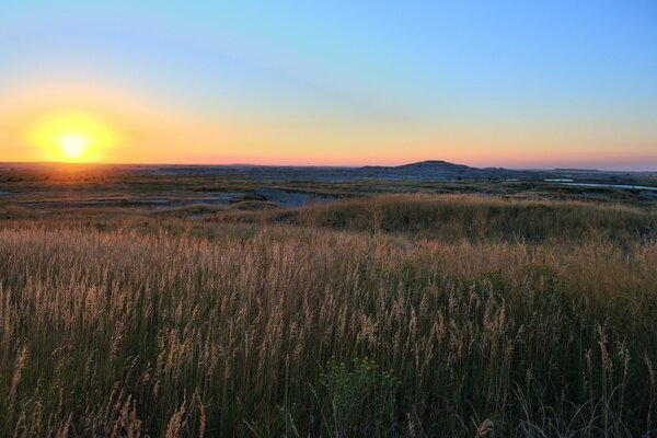 Amanecer en un campo de trigo