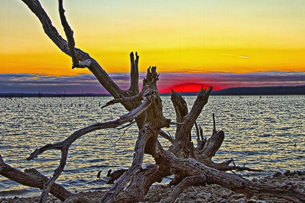 Landschaft am Meer