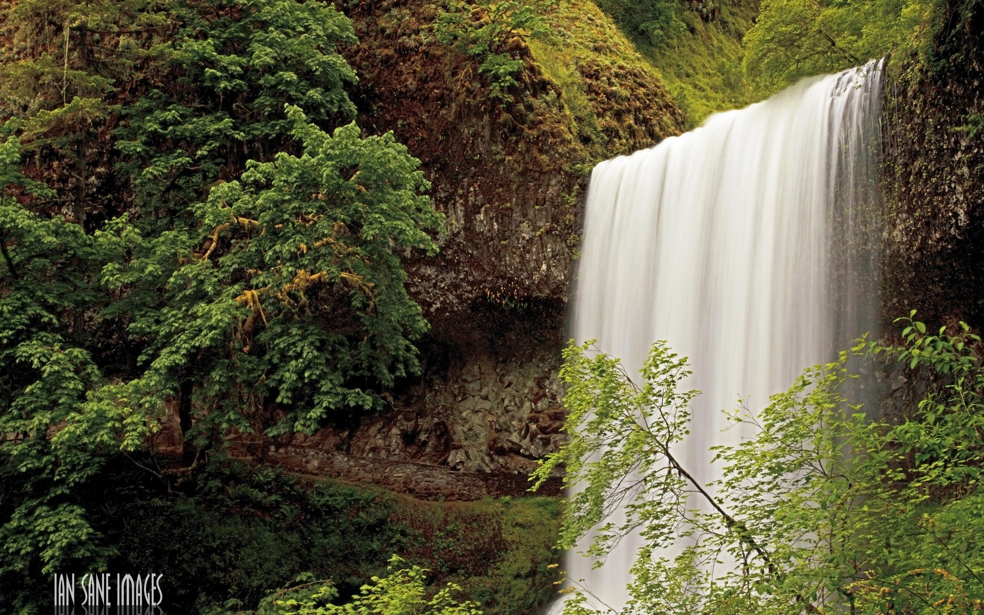 amerika natur im freien wasser holz wasserfall landschaft reisen blatt herbst baum fluss sommer landschaftlich üppig