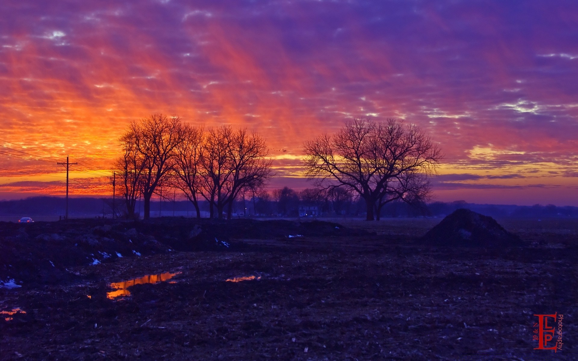 amérique soir coucher de soleil crépuscule aube à l extérieur paysage ciel soleil nature arbre lumière beau temps rétro-éclairé