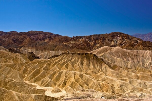 Desert landscape in America travel