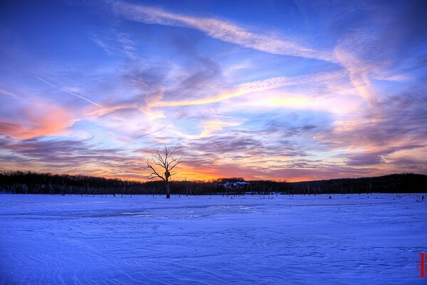 Beautiful sunrise on the background of nature