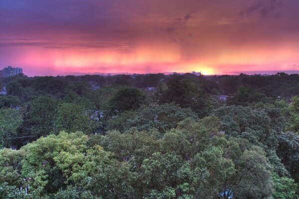 American sunset landscape in nature