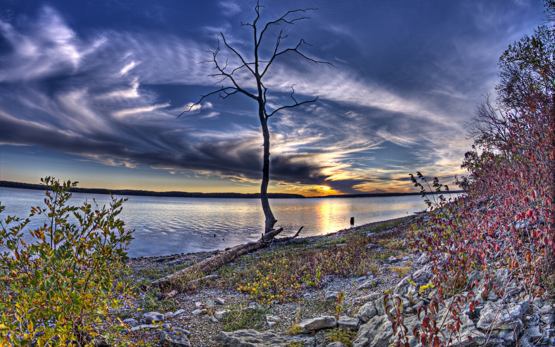 america nature landscape water sky tree sunset outdoors dawn