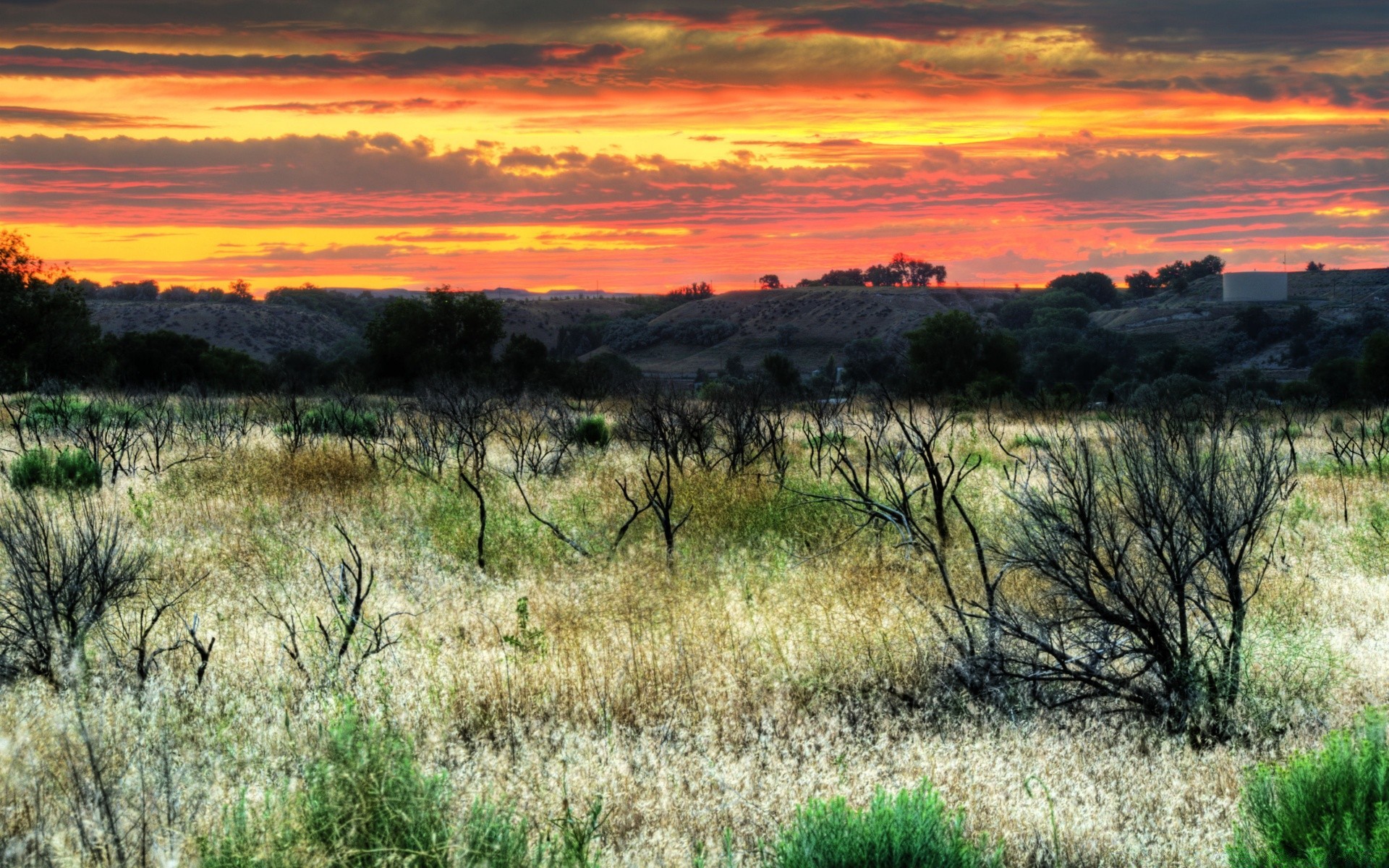 america landscape nature sunset sky grass outdoors tree dawn travel dry