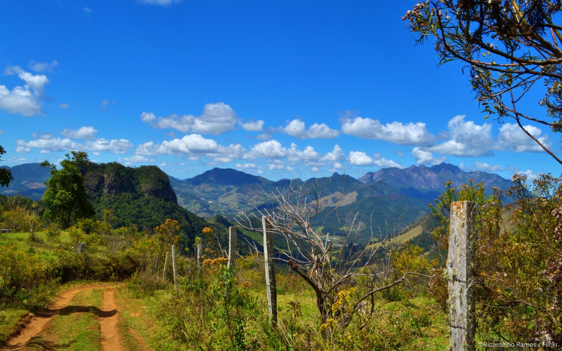 amérique nature ciel voyage paysage arbre à l extérieur montagnes bois scénique automne colline été